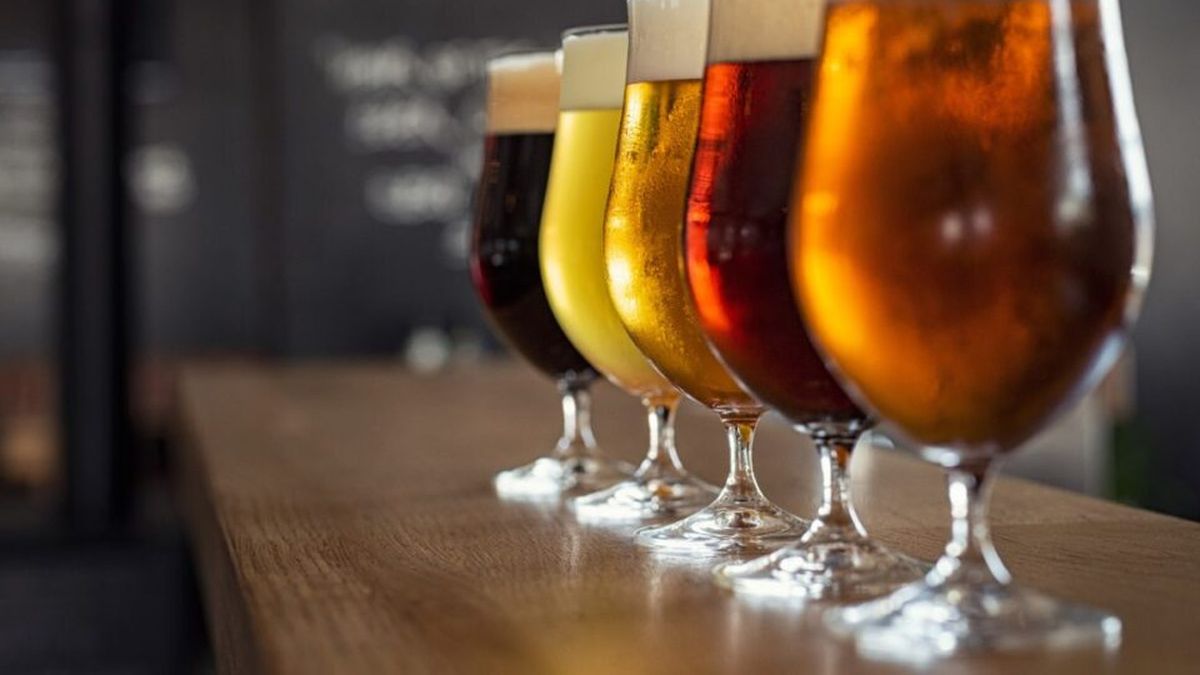 Querés aprender a hacer cerveza artesanal Un curso en Haedo brinda