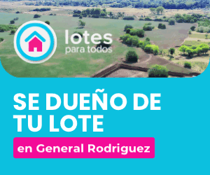 Lotes Jul25 300x250