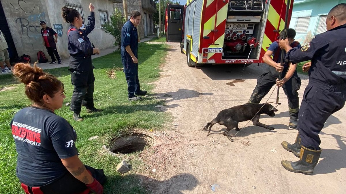 Emotivo rescate de un perro en Mariano Acosta que cayó a una profunda alcantarilla