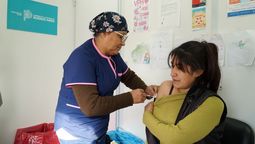 altText(Comenzaron a llegar los turnos para la vacuna del Dengue)}