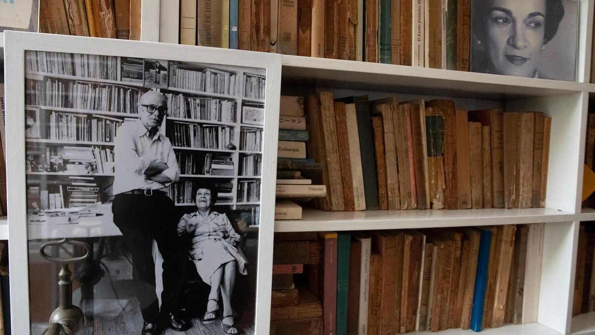Visitas guiadas a la Casa Museo Ernesto Sábato: cómo reservar un lugar para este finde
