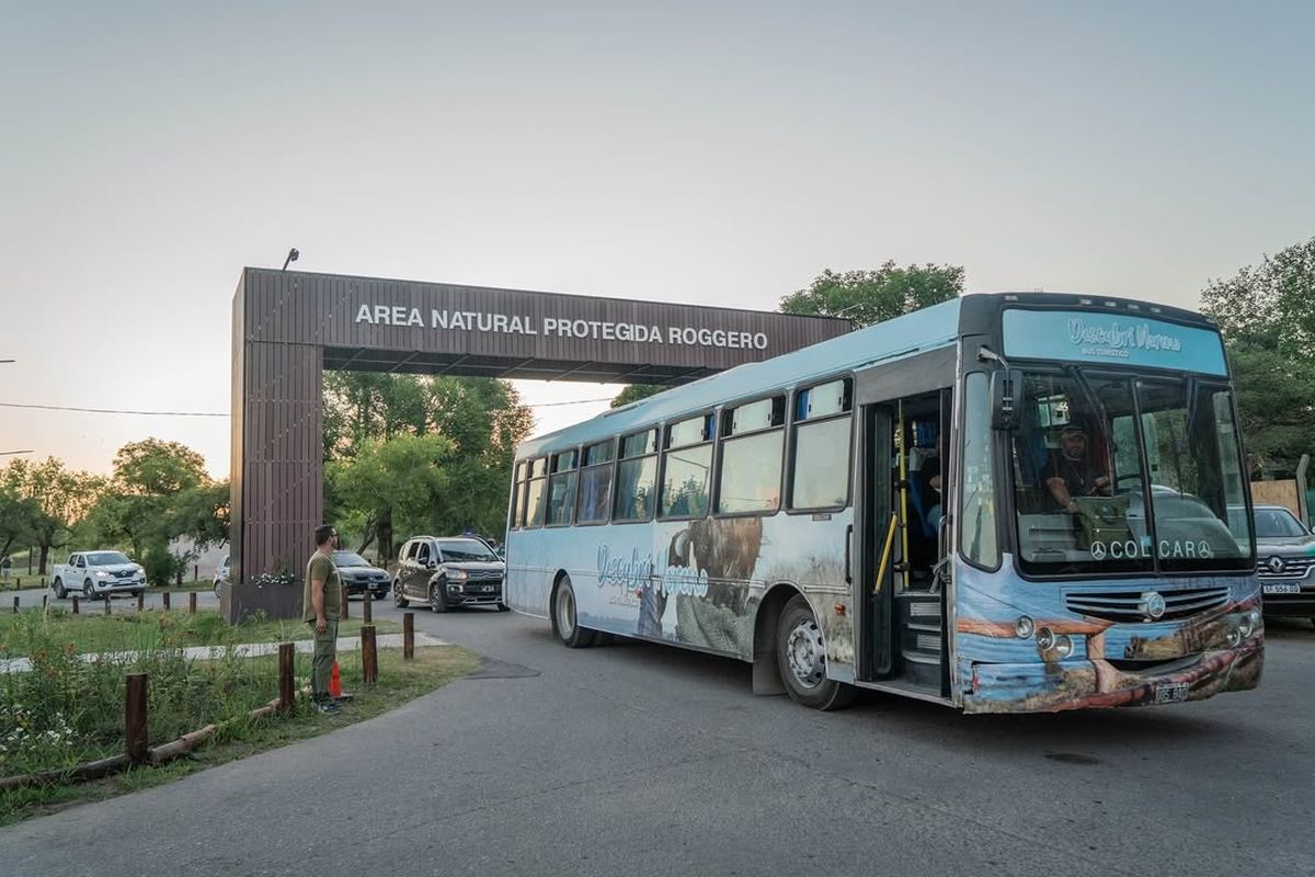 El bus turístico que te lleva a recorrer la cultural de un municipio del Oeste