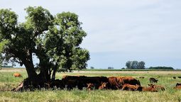 altText(Turismo bonaerense: visitá Azcuénaga y descubrí todo lo que ofrece este encantador pueblo rural)}