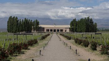 Bodegas Salentein y su alianza con el CONICET para preservar la biodiversidad del Valle de Uco