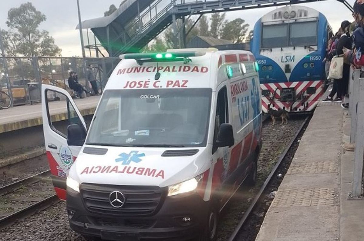 Tren San Martín: joven de 19 años se suicidó en José C. Paz
