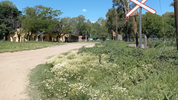 altText(El ramal Merlo-Lobos del Tren Sarmiento sumará dos barreras para bajar su tiempo de viaje)}