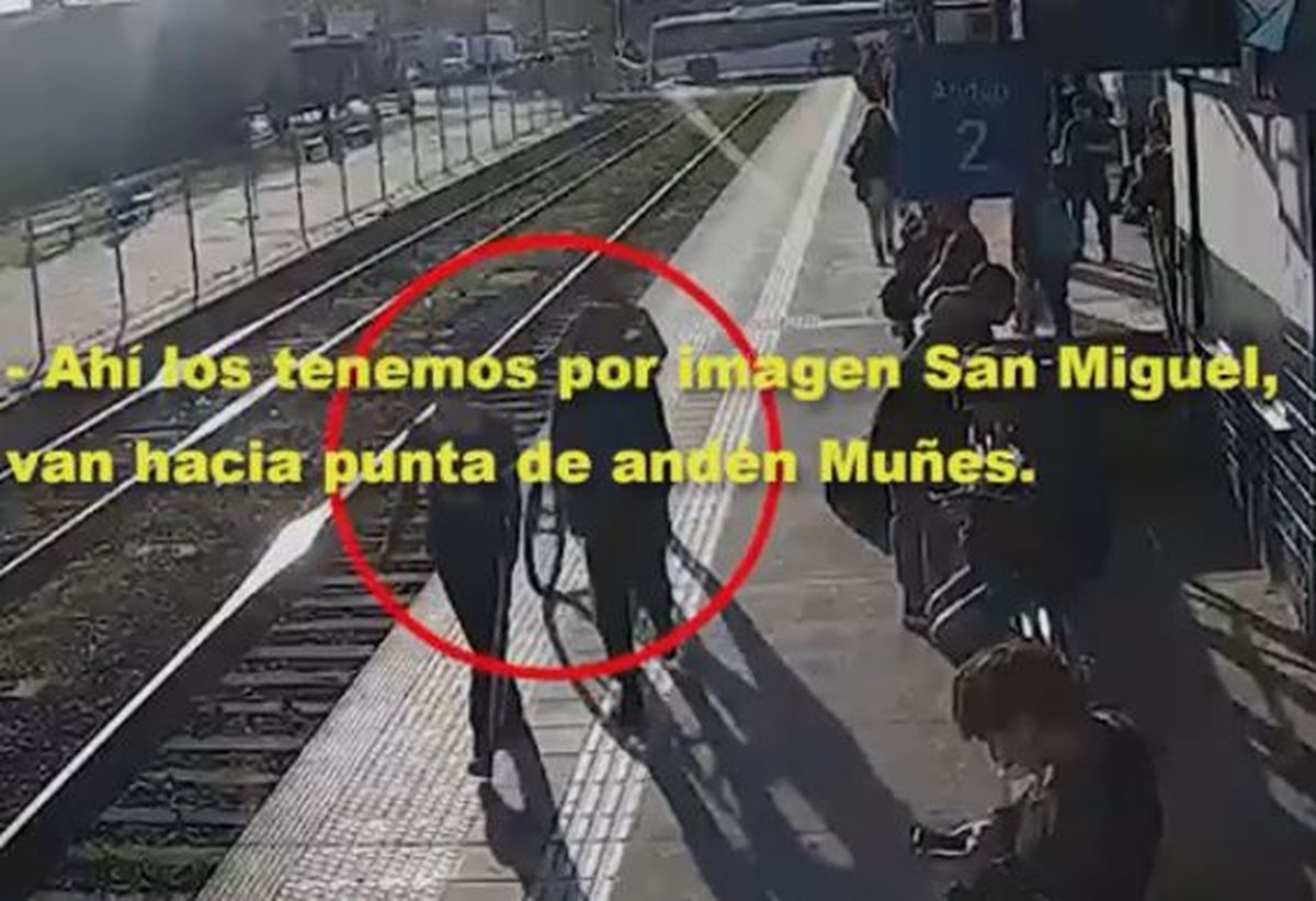 Tren San Martín: atraparon dos menores que robaron bicicleta