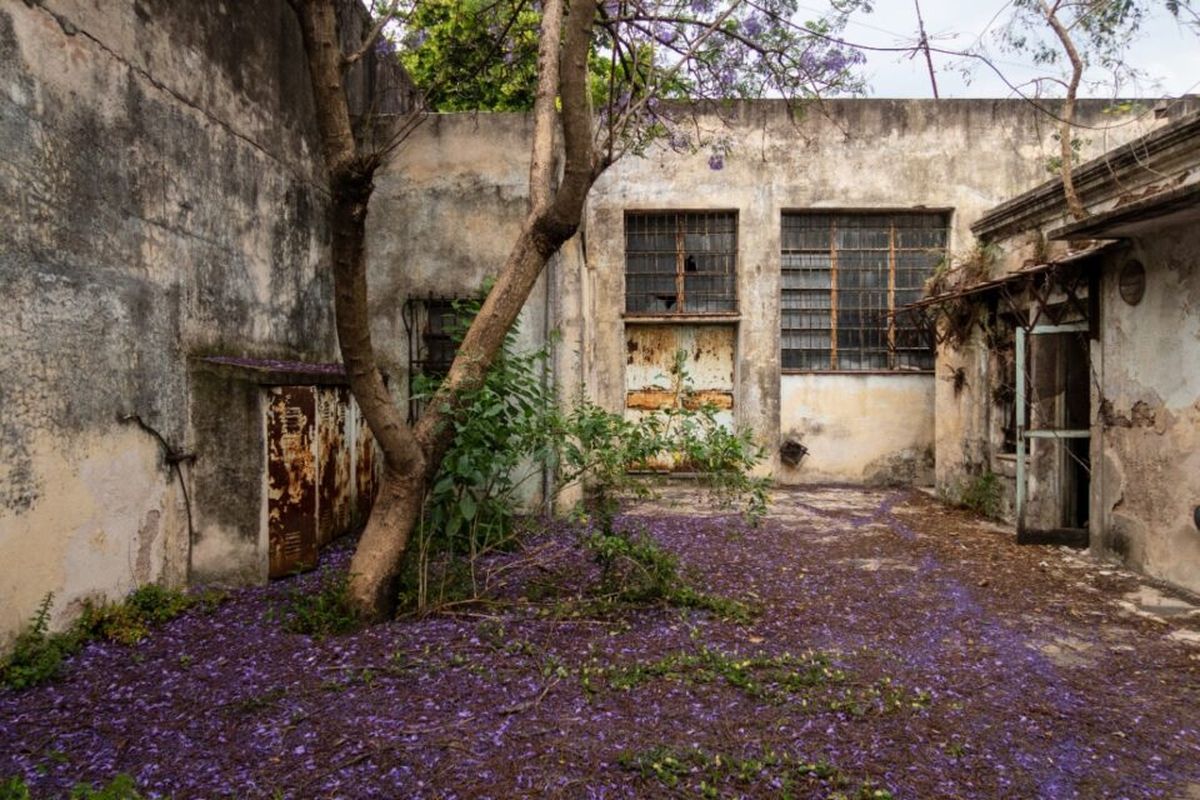 La casa de María Elena Walsh en Villa Sarmiento: conocé detalles del inédito espacio cultural y los avances de la obra