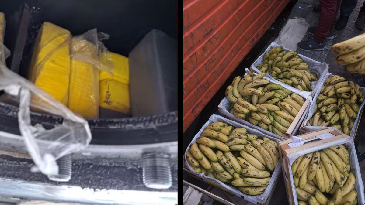 Mercado Central: hallaron más de 100 kilos de cocaína