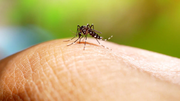 Volvieron a subir los casos positivos de dengue en el conurbano
