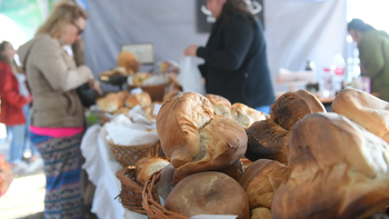 Se viene la 8° Fiesta de la Galleta de Campo a Mercedes: todo lo que debes saber
