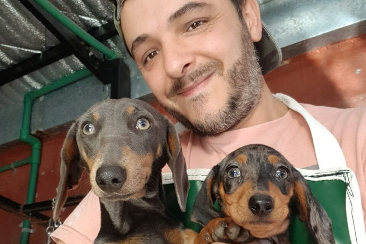 Es peluquero canino y le robaron la camioneta con cuatro perros en González Catán: Le devolvieron a todos