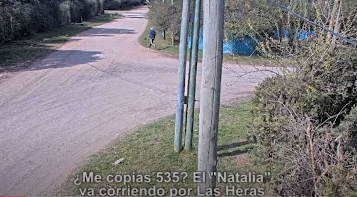 Espectacular persecución a un ladrón de celulares en San Miguel.