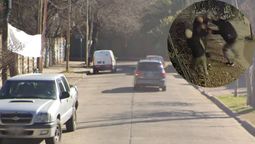 altText(Video: atacaron a dos jubilados en Ramos Mejía para robarle el auto)}
