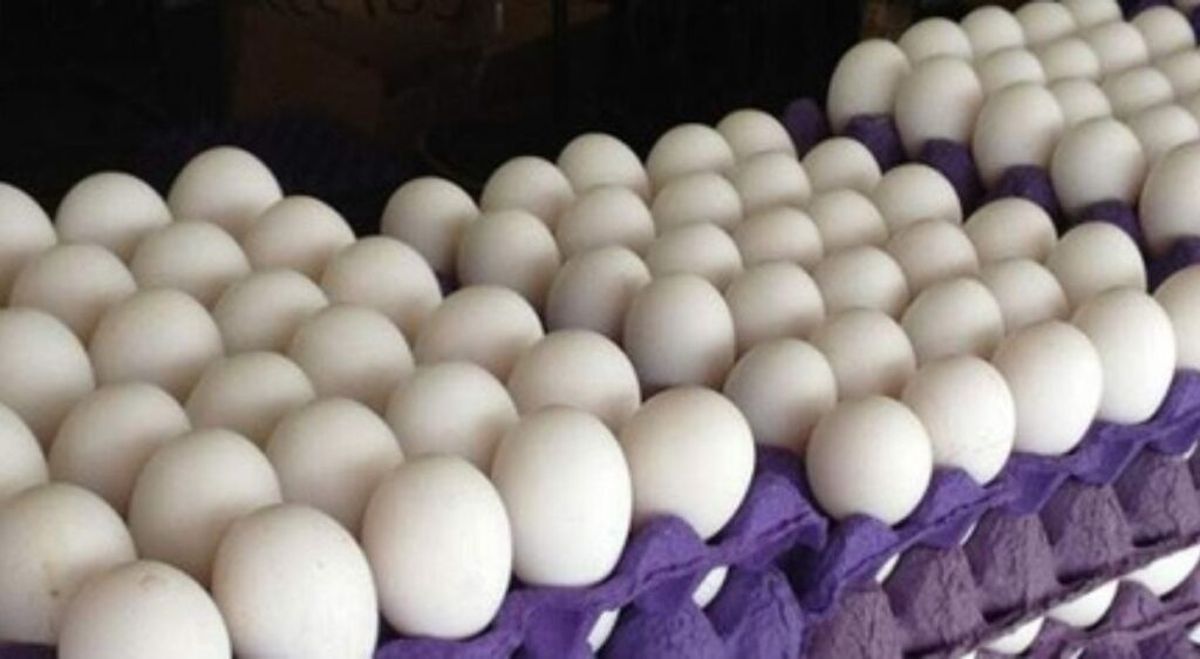 Marcos Paz: Dónde se podrá comprar el maple de huevos a $999