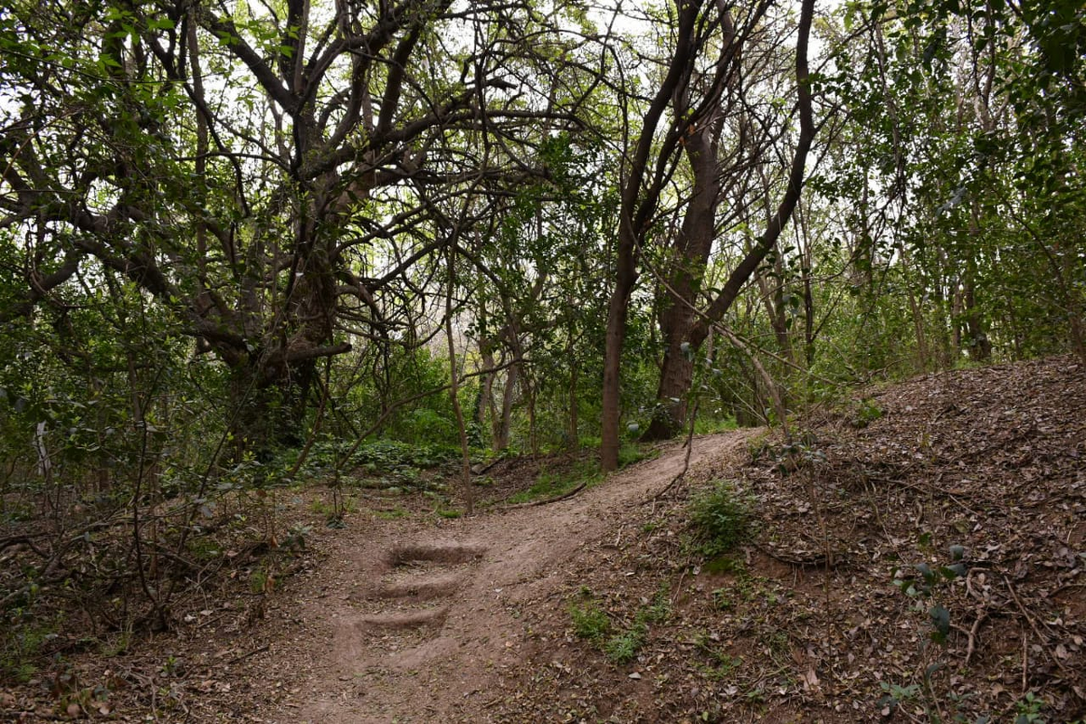 El Palomar: ya está completamente abierta la Reserva Natural