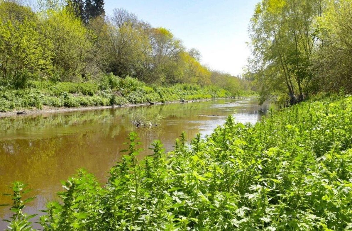 Reserva Natural Urbana Río Reconquista: vecinos de Ituzaingó podrán ser parte de un consulta pública para conocer los detalles del proyecto