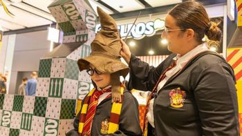 Realizarán un especial de Harry Potter en Hurlingham: taller mágico