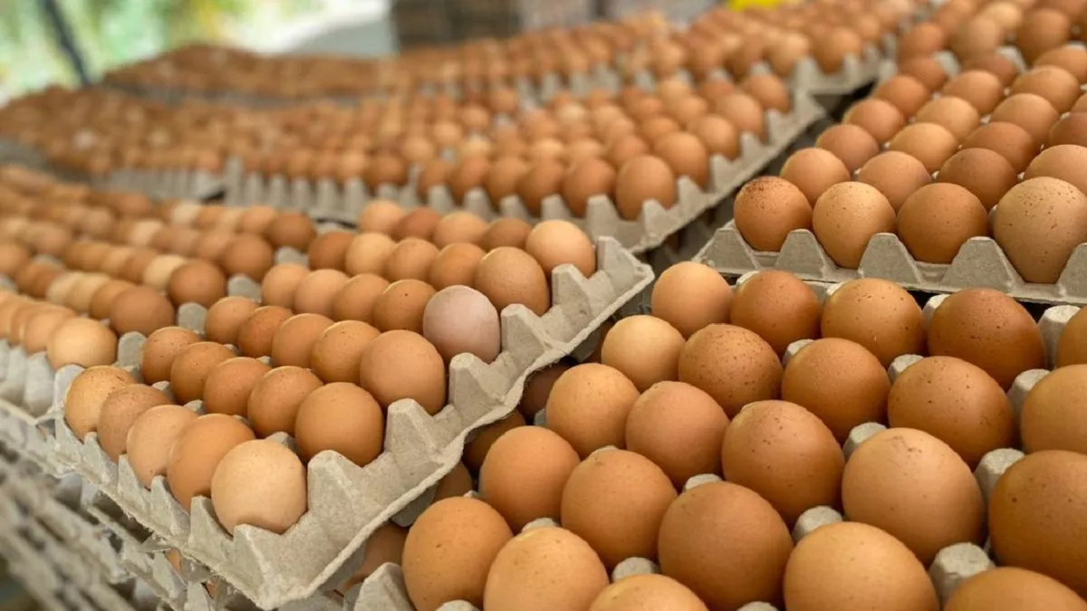 Dónde comprar huevos más económicos en Zona Oeste