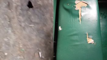 Preocupación por el deterioro del Tren Urquiza: En breve andaremos como los Picapiedra